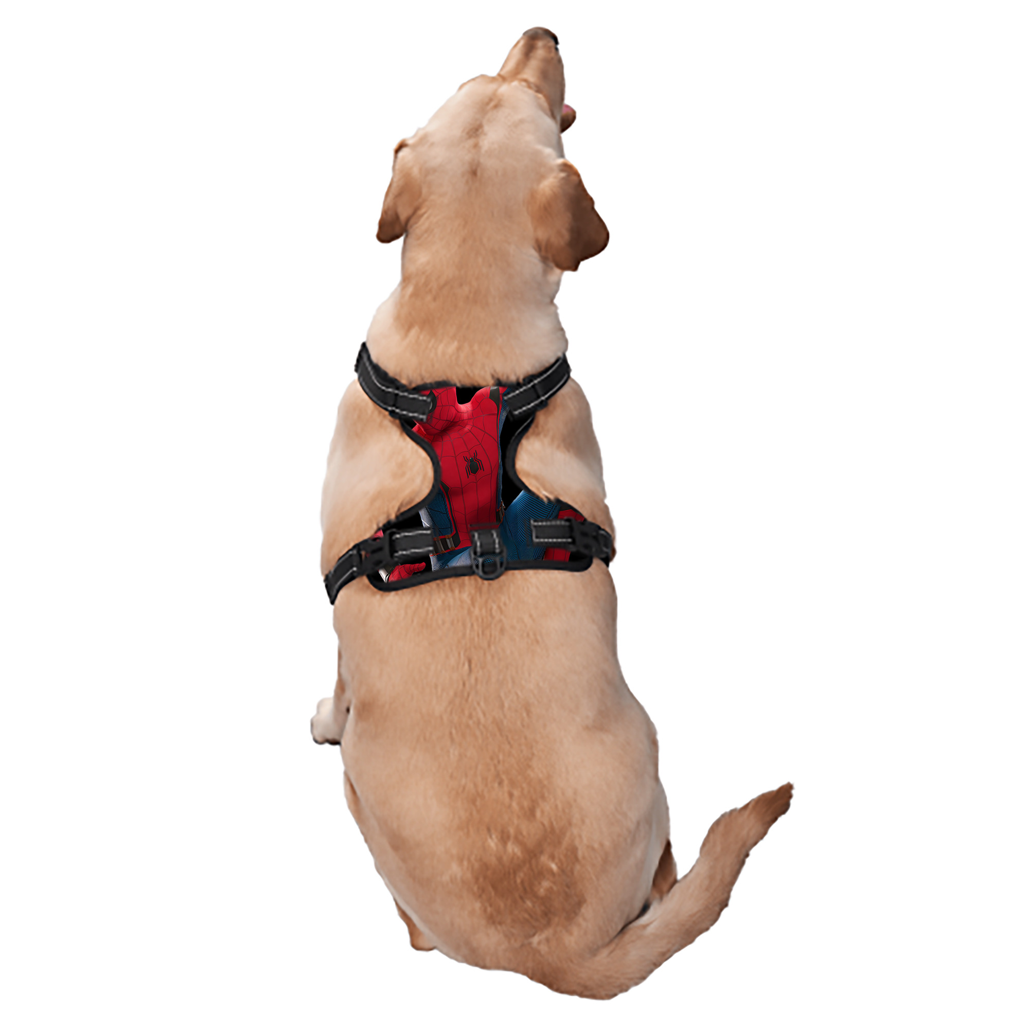 （画像用） Spider Man スパイダーマン ペット用ハーネス